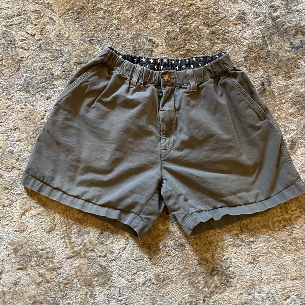 Chubbies Mens M “Sky’s Out Thighs Out” Gray Shorts